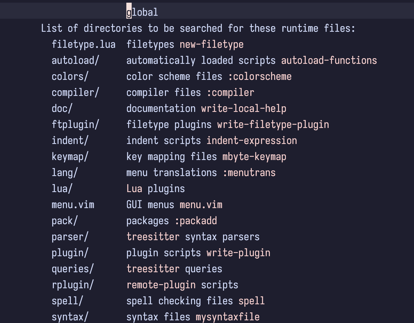 A screenshot of what running :h runtimepath in Neovim opens. Includes a list of the directories which are searched for runtime files.